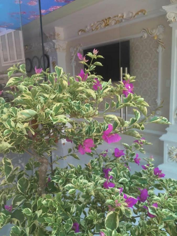 Hotel My Anh Sa Dec Εξωτερικό φωτογραφία